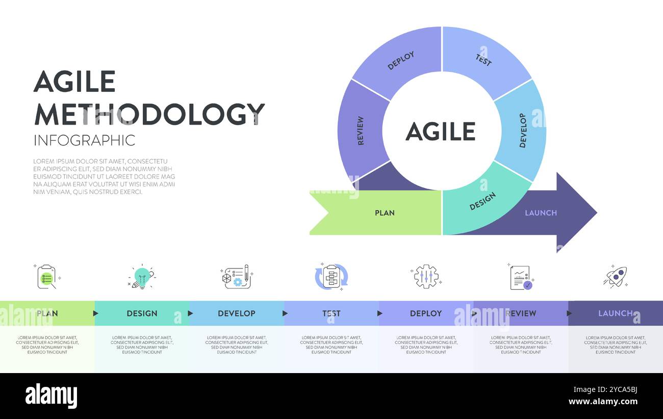 Die Infografik „Agile Lifecycle Methodology“ ist ein Prozess zur Erstellung und Reaktion auf Veränderungen. Lebenszyklus der Produktentwicklung und Agile Methodology. Proz Stock Vektor