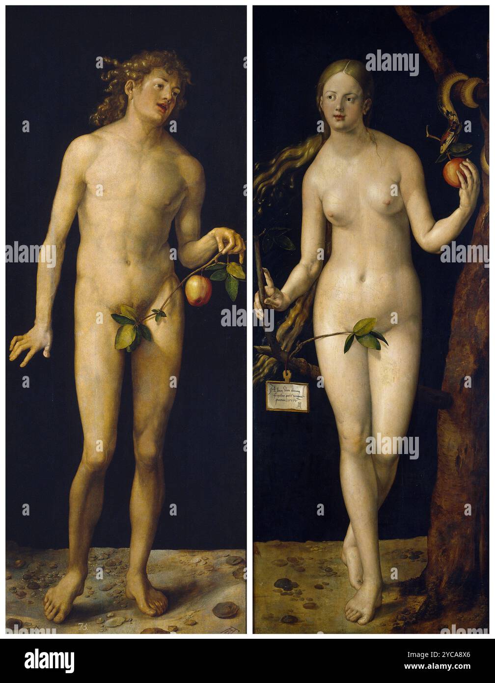 Albrecht Dürer - Adam und Eva 1507 Stockfoto