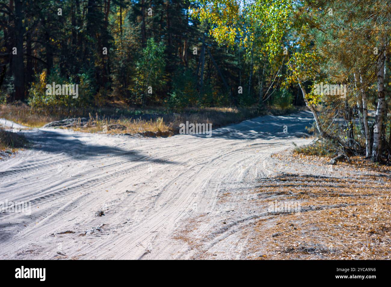 Kreuzung von drei staubigen Landstraßen in einem Park oder Wald, keine Menschen Stockfoto