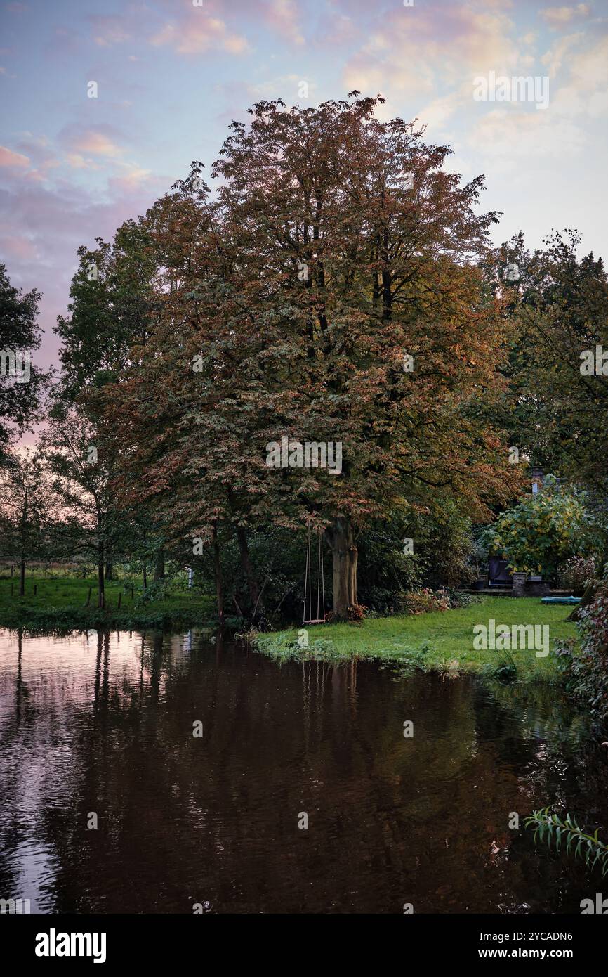 Eine friedliche Herbstszene mit einem großen Baum, einer Schaukel an seinen Ästen und einem Teich, der die warmen Farben der untergehenden Sonne reflektiert. Stockfoto