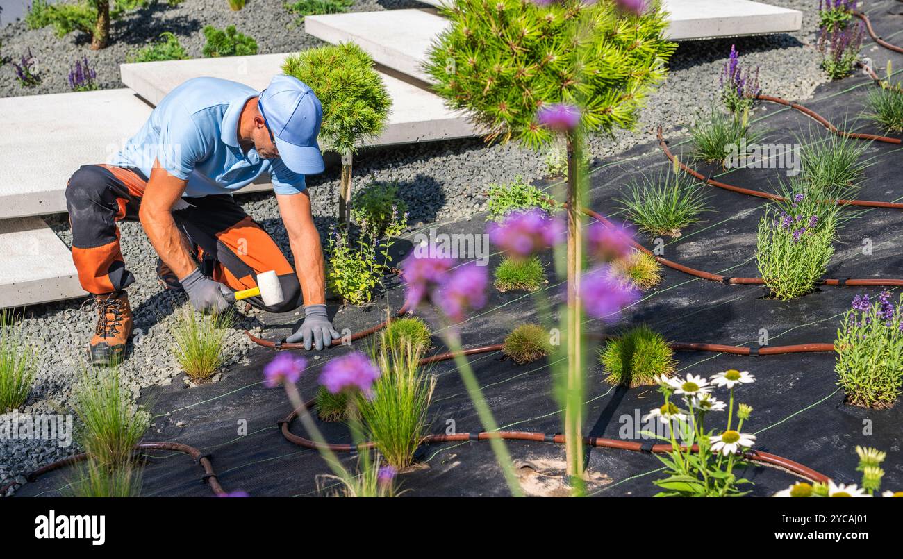 Ein Gärtner fügt sorgfältig Blumen und Sträucher in die Landschaft ein und konzentriert sich dabei auf die Platzierung der Pflanzen inmitten von lebendigem Grün und Steinen unter klarem Himmel. Stockfoto