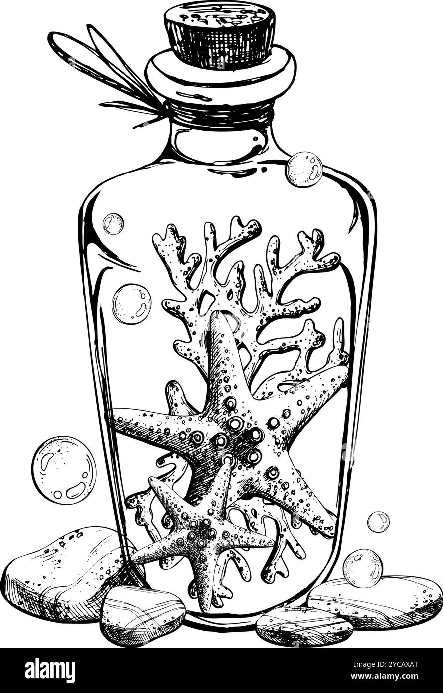 Seesterne und Korallen im Glasgefäß mit Korksteinen und Wasserblasen. Handgezeichnete grafische Illustration in Schwarzweiß-Strichgrafik Stock Vektor