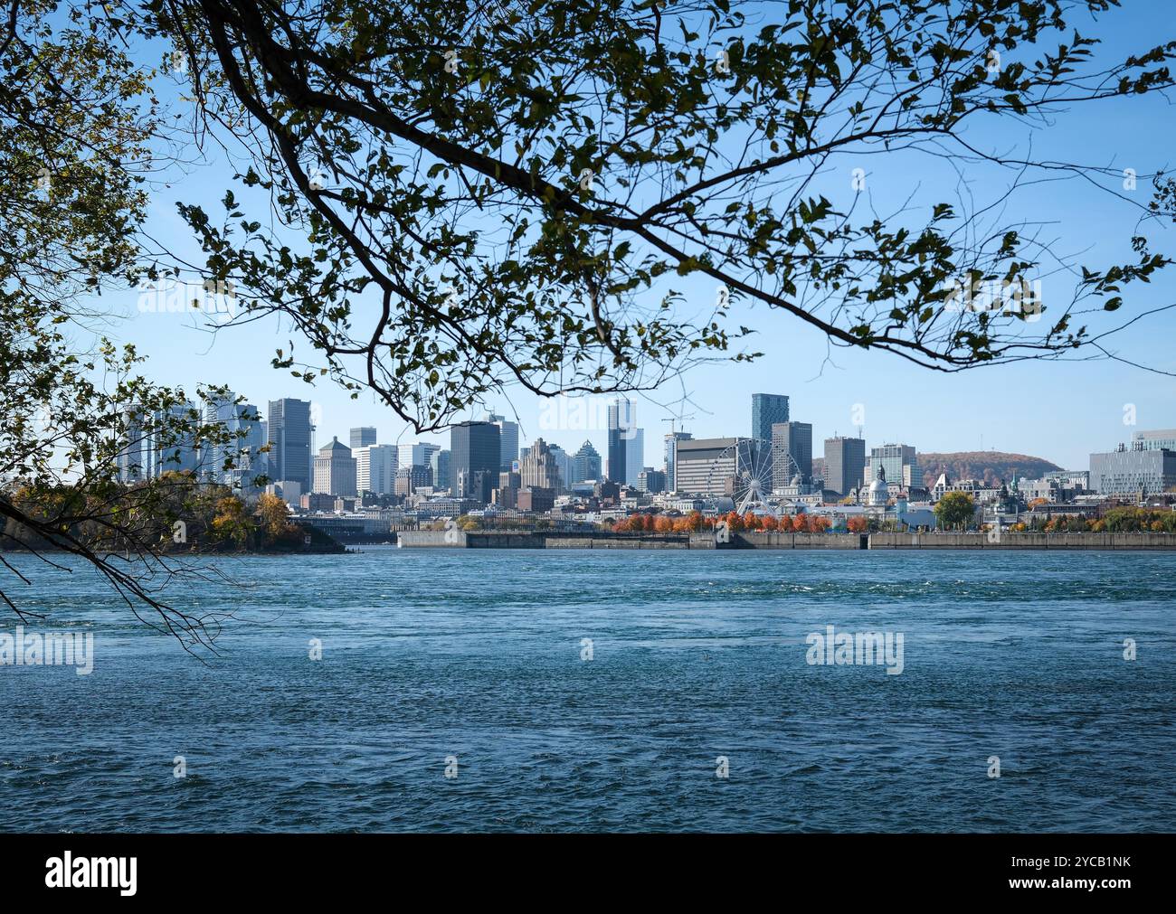 Montreal, Quebec, Kanada. Oktober 2024. Ein Blick auf Montreal City, Kanada im Herbst. Der Himmel ist klar und es ist ein sonniger Tag. (Kreditbild: © Serkan Senturk/ZUMA Press Wire) NUR REDAKTIONELLE VERWENDUNG! Nicht für kommerzielle ZWECKE! Stockfoto
