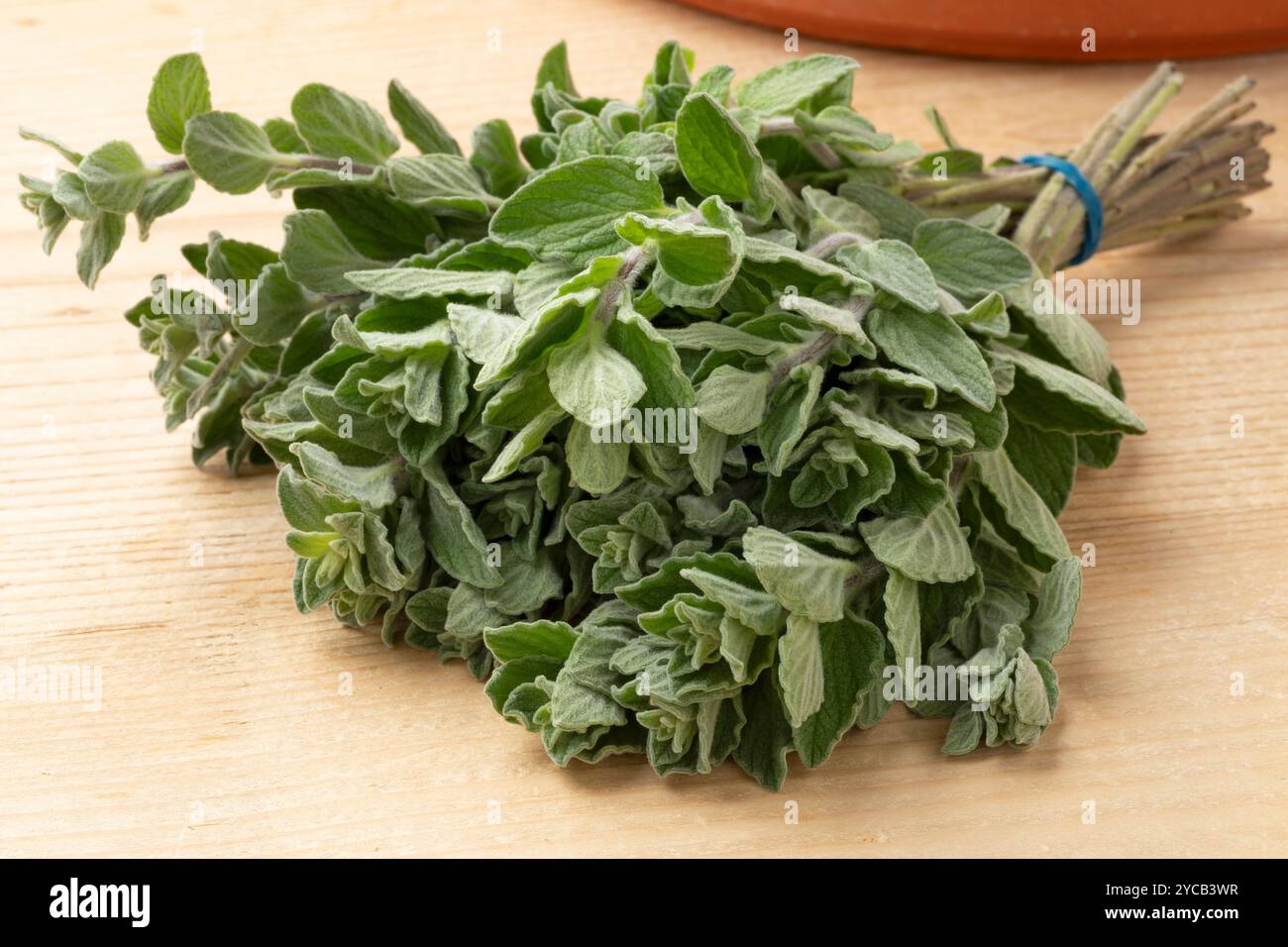 Bouquet frisch gepflückter Oregano-Zweige aus nächster Nähe auf hölzernem Hintergrund Stockfoto