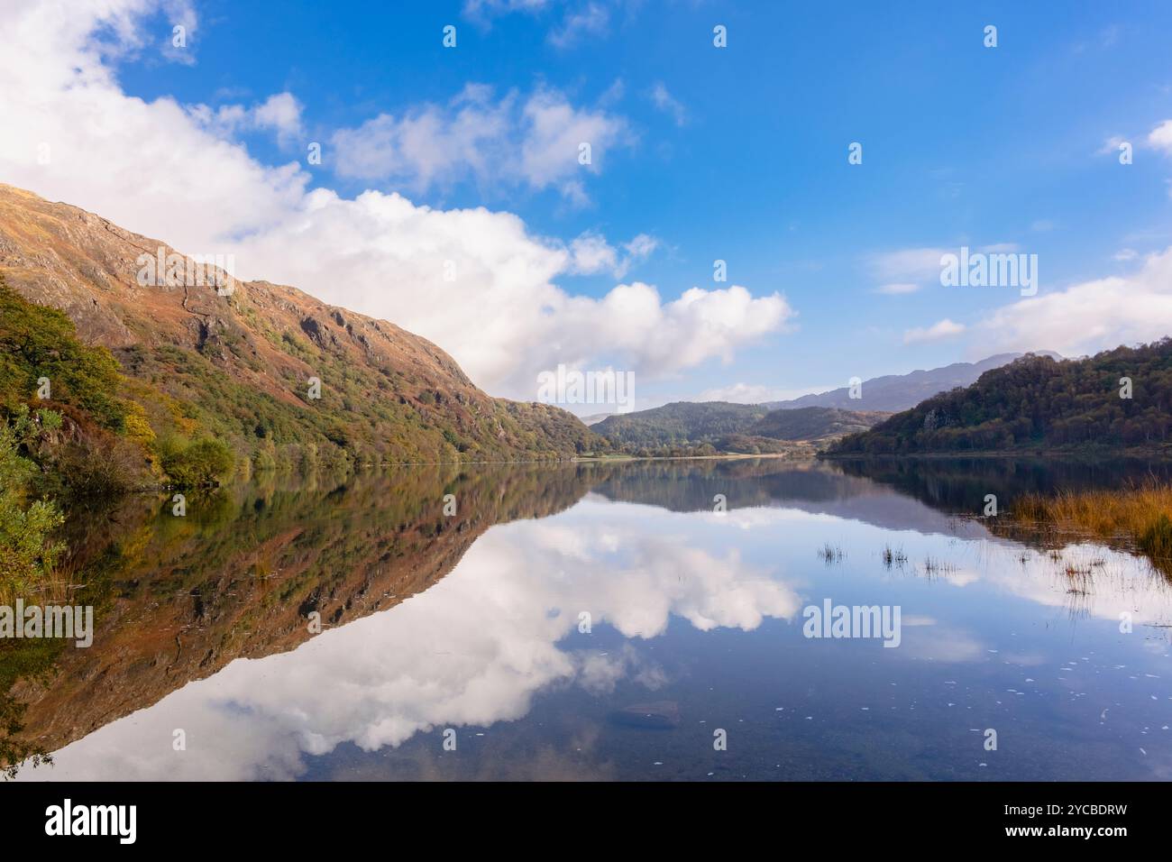 Reflexionen im Llyn Dinas See im Nant Gwynant Tal vom Cambrian Way Pfad. Nantgwynant, Beddgelert, Gwynedd, North Wales, Vereinigtes Königreich, Großbritannien Stockfoto