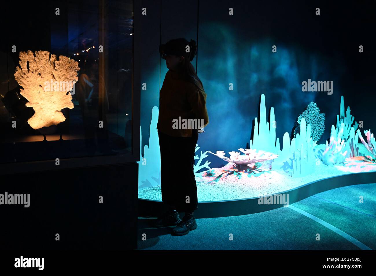 Visions of Nature ist ein neues Mixed-Reality-Erlebnis im Museum, das das Publikum 100 Jahre in die Zukunft versetzt, um zu sehen, wie die natürliche Welt auf die Aktionen reagiert hat, die wir heute ergreifen. Besucher werden in diesem immersiven Erlebnis, das in einer Partnerschaft zwischen dem Natural History Museum, Microsoft und SAOLA Studio erstellt wurde, hochmoderne Microsoft Mixed-Reality-Headsets von Microsoft tragen. Visions of Nature wird am Donnerstag, den 24. Oktober 2024 ... eröffnet Stockfoto