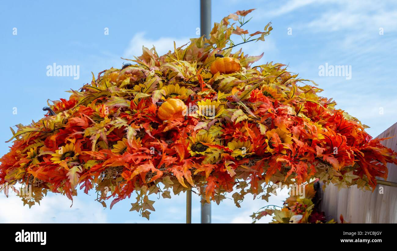 Herbsterntevereinbarung mit Kürbissen und Sonnenblumen Stockfoto