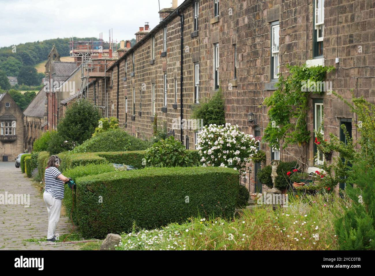 Eine Frau, die eine Hecke in einer Straße mit traditionellen Mühlenhütten in Belper, Derbyshire, schneidet. Fotodatum: Montag, 5. August 2024. Foto: Richard Gray/Ala Stockfoto