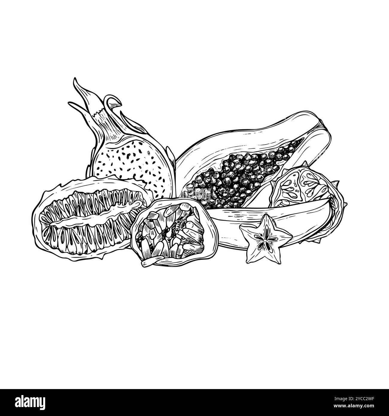 Aromatische tropische Hälften und Scheiben der Fruchtmischung Hand gezeichnet schwarz-weiße Vektor-Illustration. Papaya, Kiwano, Karambola, Maracuja, Pitahaya Stock Vektor