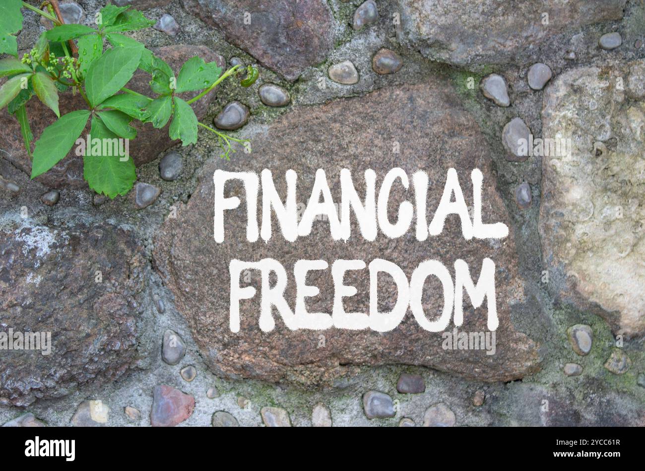 Symbol für finanzielle Freiheit. Steinmauer mit den Worten finanzielle Freiheit. Wunderschöner Steinhintergrund. Business and Financial Freedom-Konzept. Kopierbereich. Stockfoto