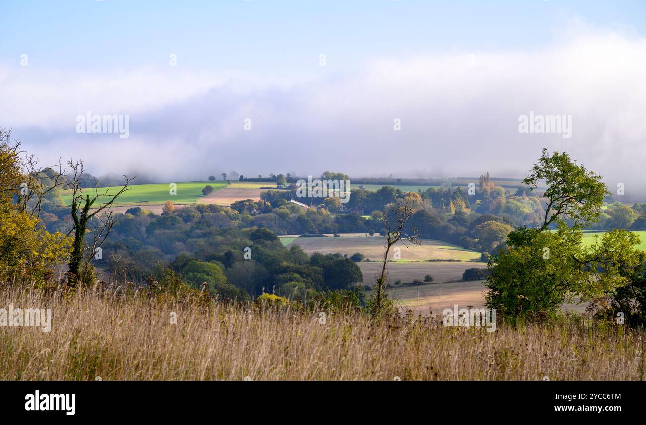 Morgens Nebelaufzüge in der Morgensonne auf den herbstlichen Feldern am Fuße der South Downs in der Nähe von Pulborough in West Sussex, England. Stockfoto