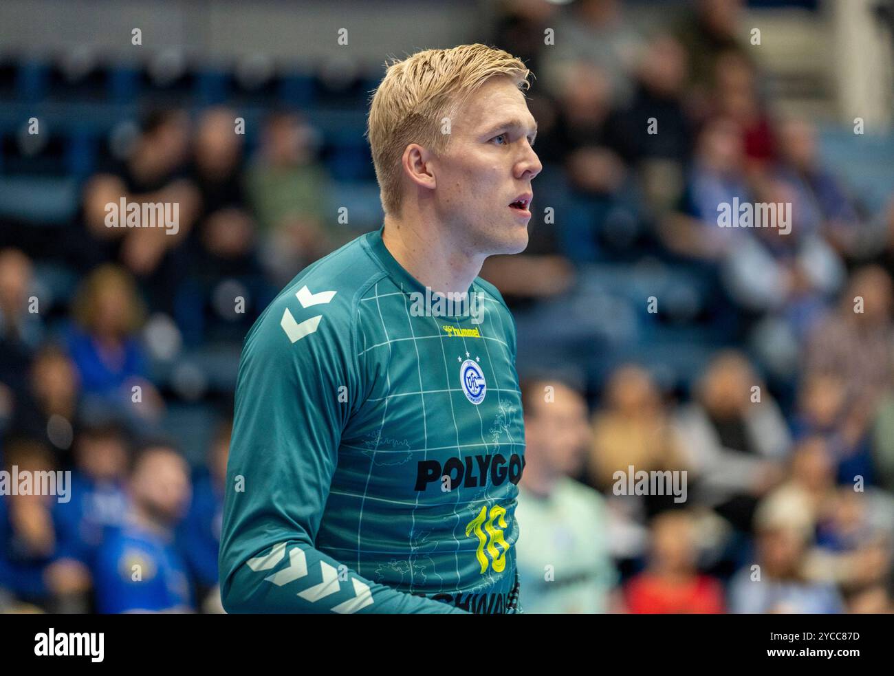 Gummersbach, Deutschland. Oktober 2024. Bertram Obling (VfL Gummersbach, #16) Handball EHF European League, VfL Gummersbach - Fenix Toulouse, 22.10.2024 Credit: dpa/Alamy Live News Stockfoto