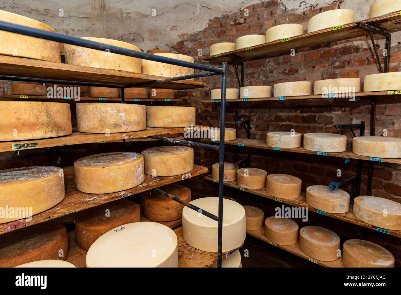 Käse im Reifkeller auf vertrauter Industrie auf dem Land des Bundesstaates Minas Gerais, Brasilien. Stockfoto