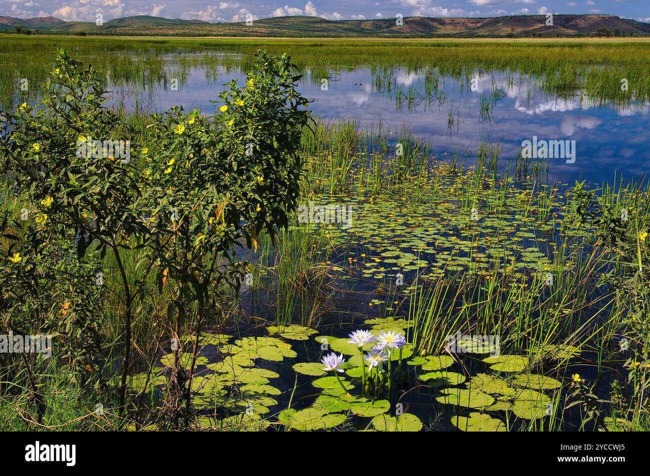 Das idyllische Parry Lagoons Nature Reserve, ein Feuchtgebiet und Vogelschutzgebiet von internationaler Bedeutung in der Kimberley Region im Norden Westaustraliens Stockfoto