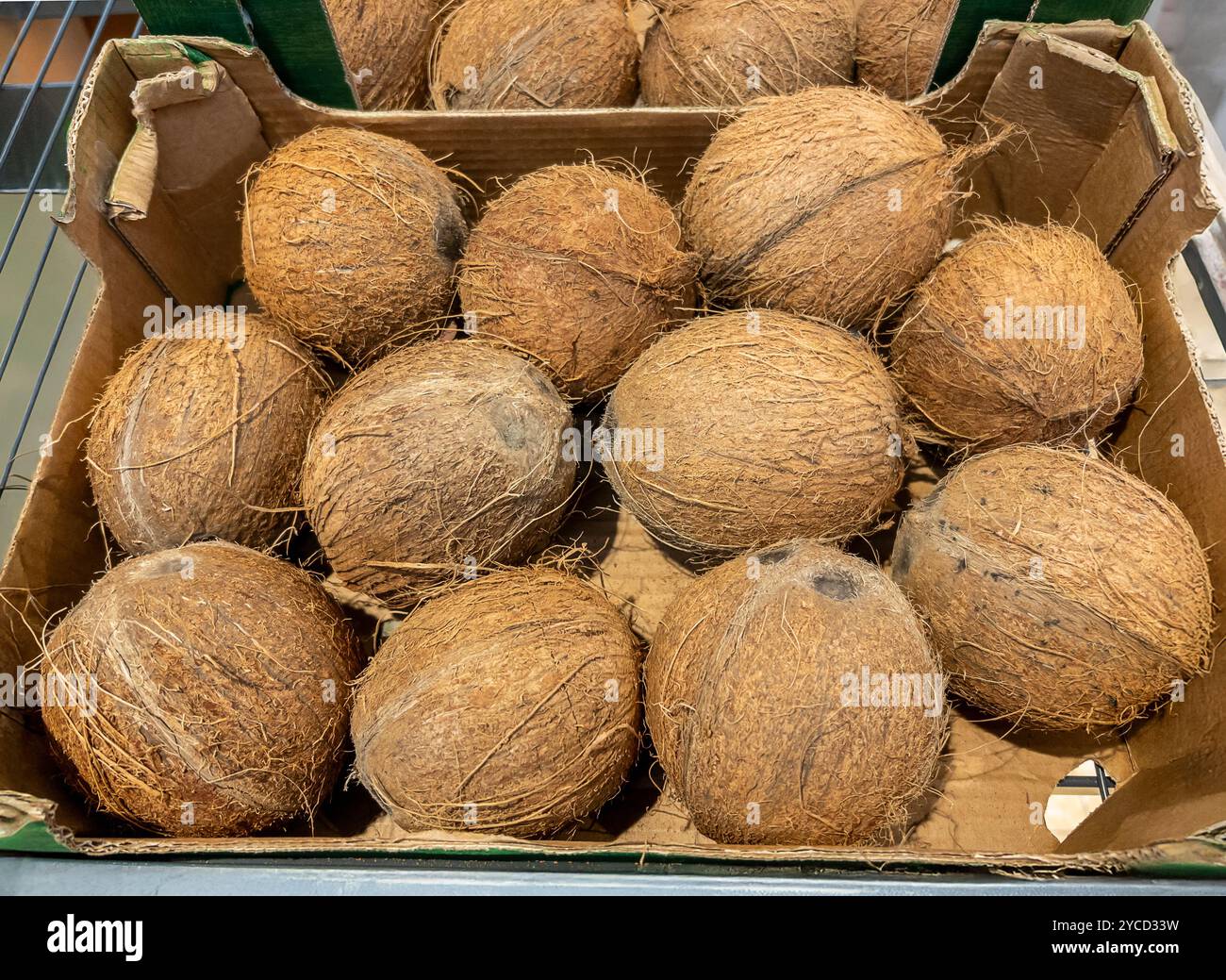 Kokosnüsse in Kartonkiste, die im Supermarkt verkauft werden Stockfoto