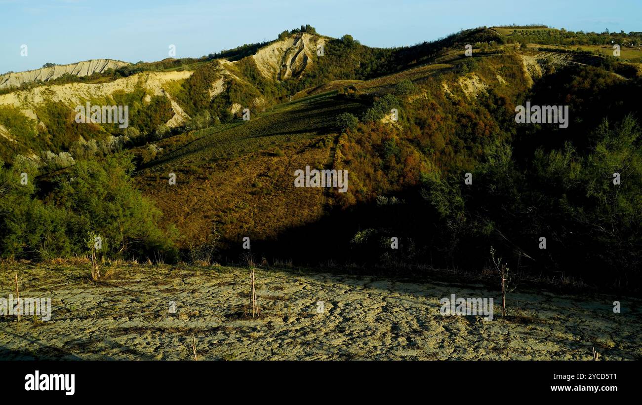 Der Park der Emilian-Schluchten mit seinen besonderen Felsformationen liegt zwischen den Provinzen Bologna und Forlì Cesena, Emilia Romagna, Italien Stockfoto