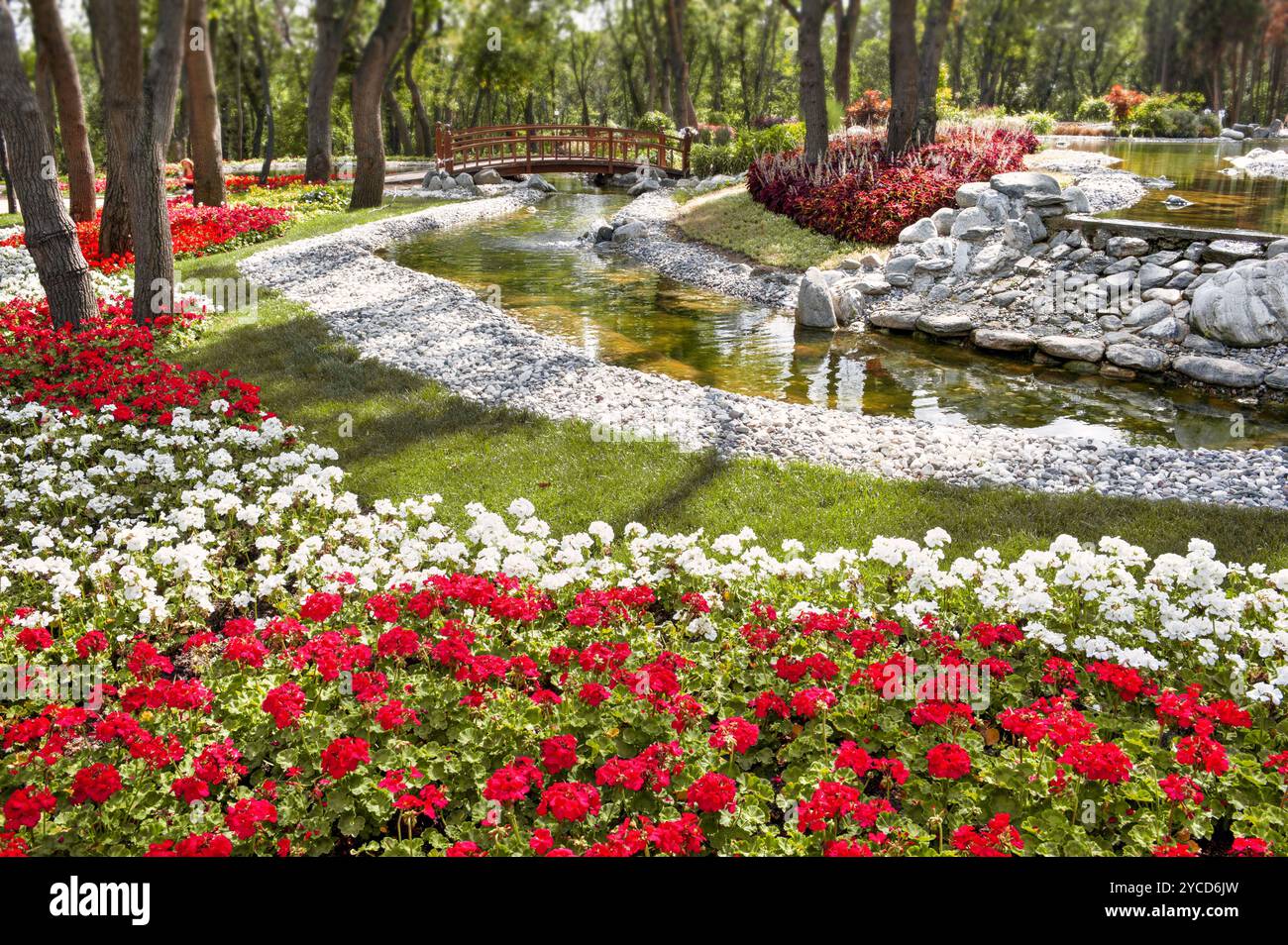 Eine lebendige Gartenlandschaft mit roten und weißen Blumen und einer Holzbrücke, Stockfoto