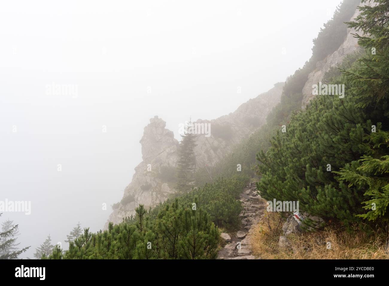 Der Wanderweg verschwindet in dickem Nebel mit Wolken über die Bergrücken und grünen Hängen. Konzept der Outdoor-Erkundung, Abenteuer-Trekking Stockfoto