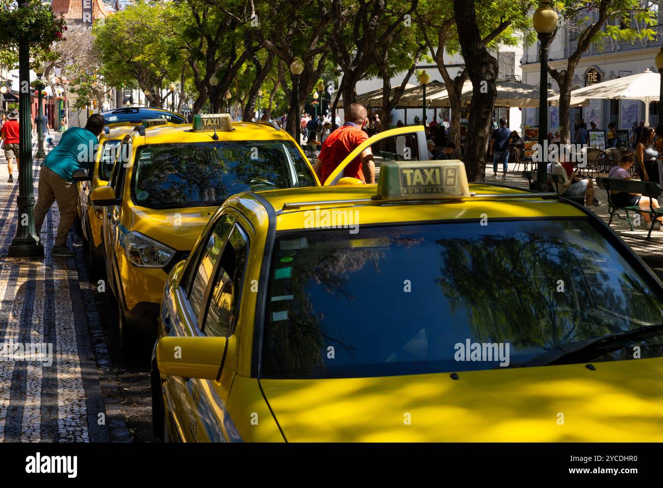 Funchal, Madeira - 01.10.2024: Reihe der gelben Taxis in der Stadt Funchal. Insel Madeira, Portugal Stockfoto