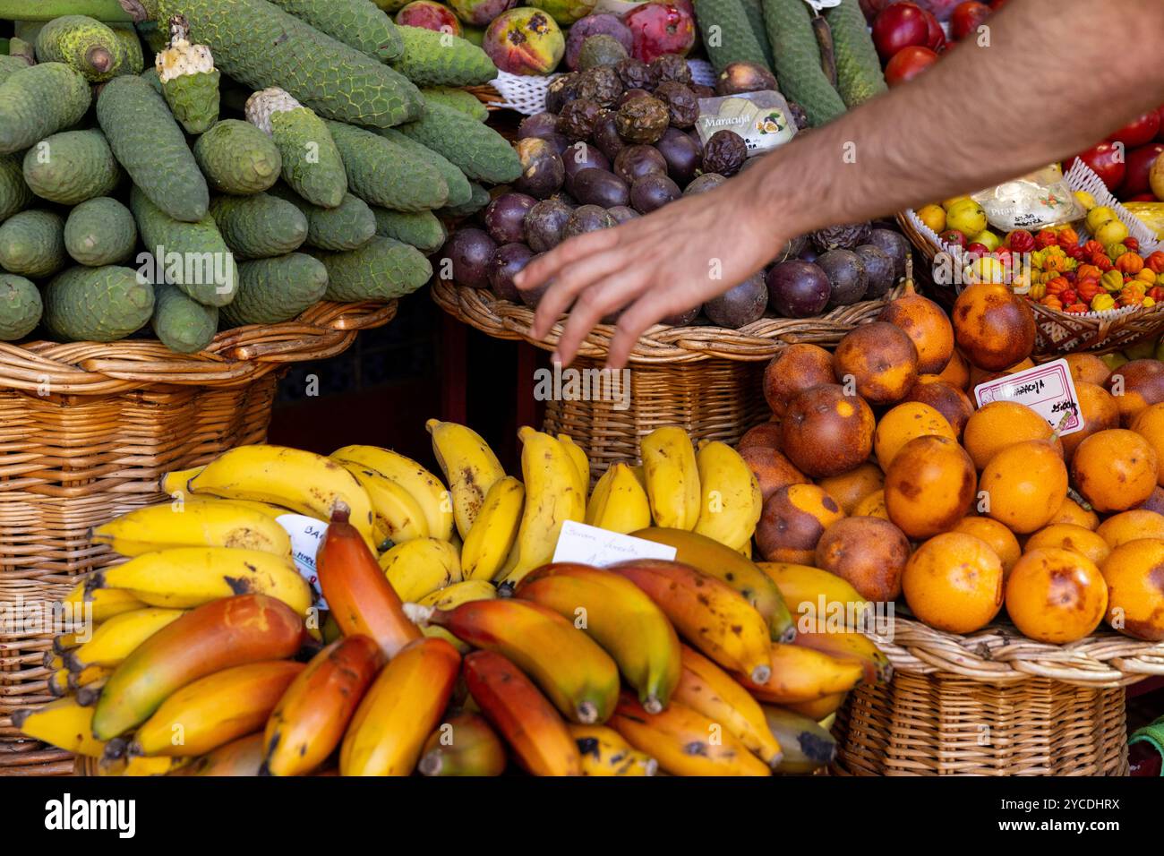Verschiedene Obstsorten auf dem Bauernmarkt (Mercado dos Lavradores) in Funchal. Insel Madeira, Portugal Stockfoto