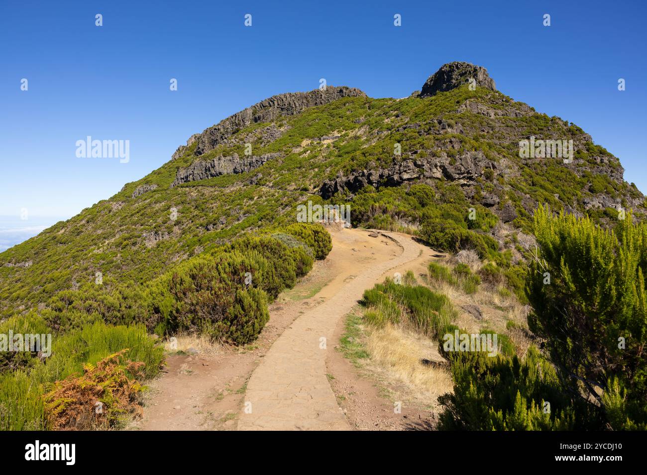 Wanderweg in den Bergen von Pico Ruivo an sonnigen Tagen. Insel Madeira, Portugal Stockfoto