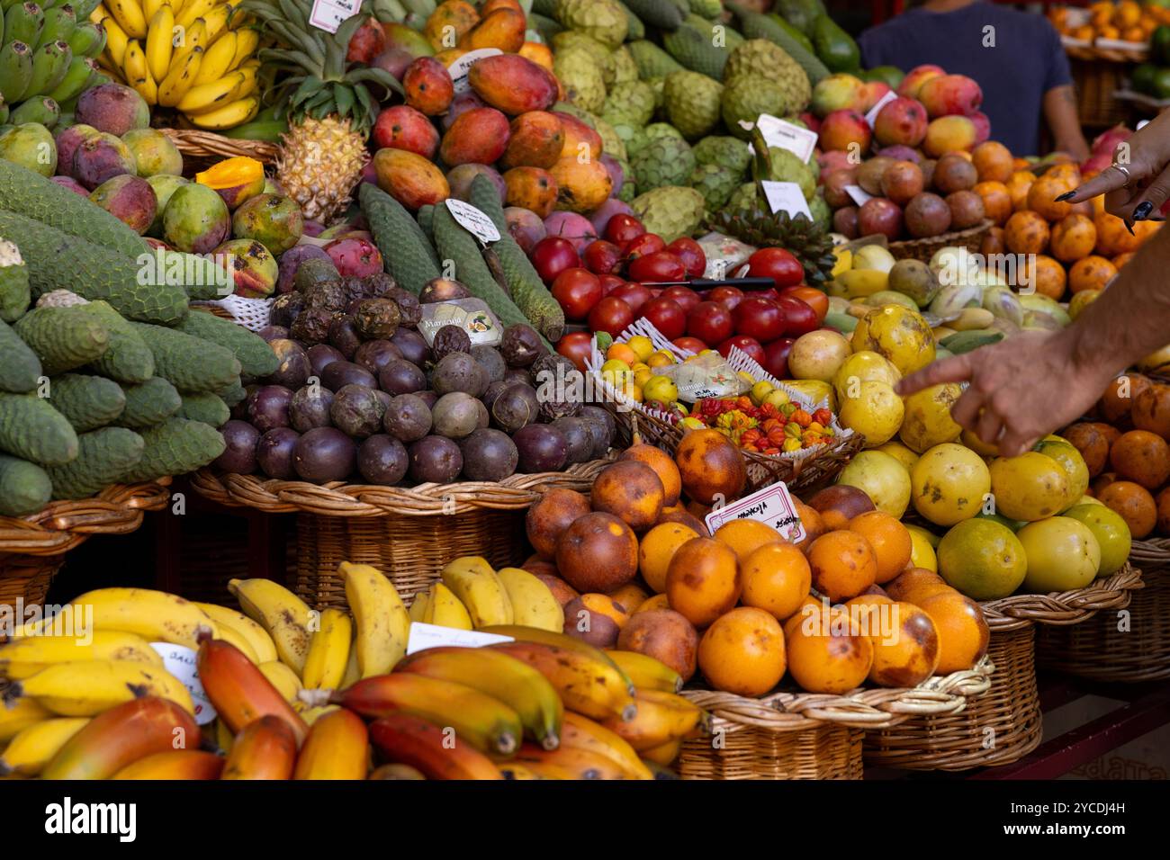 Verschiedene Obstsorten auf dem Bauernmarkt (Mercado dos Lavradores) in Funchal. Insel Madeira, Portugal Stockfoto