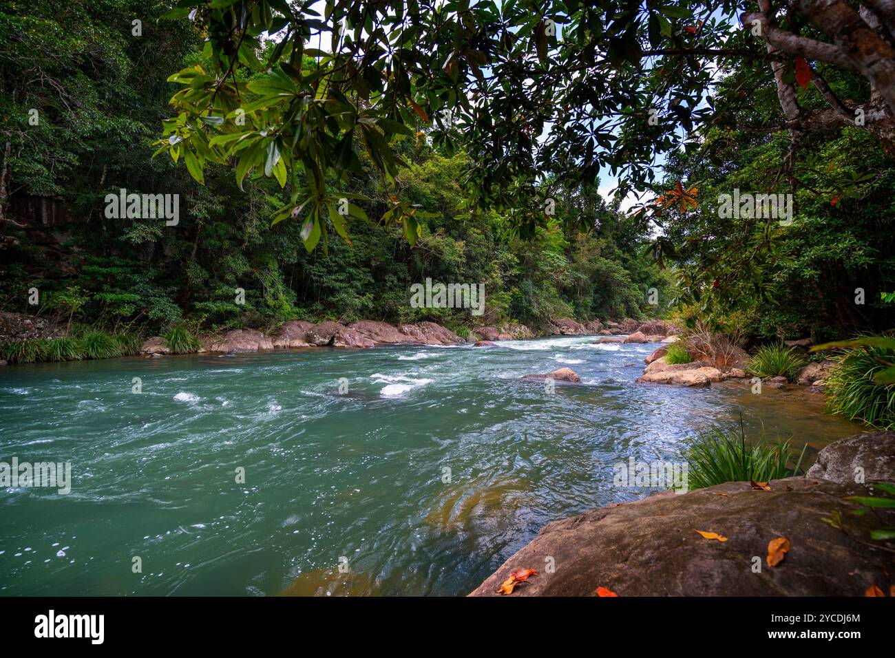 Schnell fließender Gebirgsfluss, Tully River Tully Gorge North Queensland Stockfoto