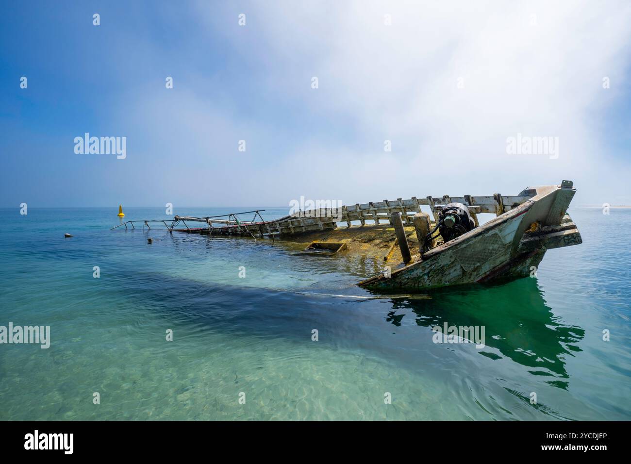 Wrack eines Segelschiffes in klarem Wasser an einem nebeligen Morgen, Moon Point, Fraser Island, Kgari, Hervey Bay, Queensland Australien Stockfoto