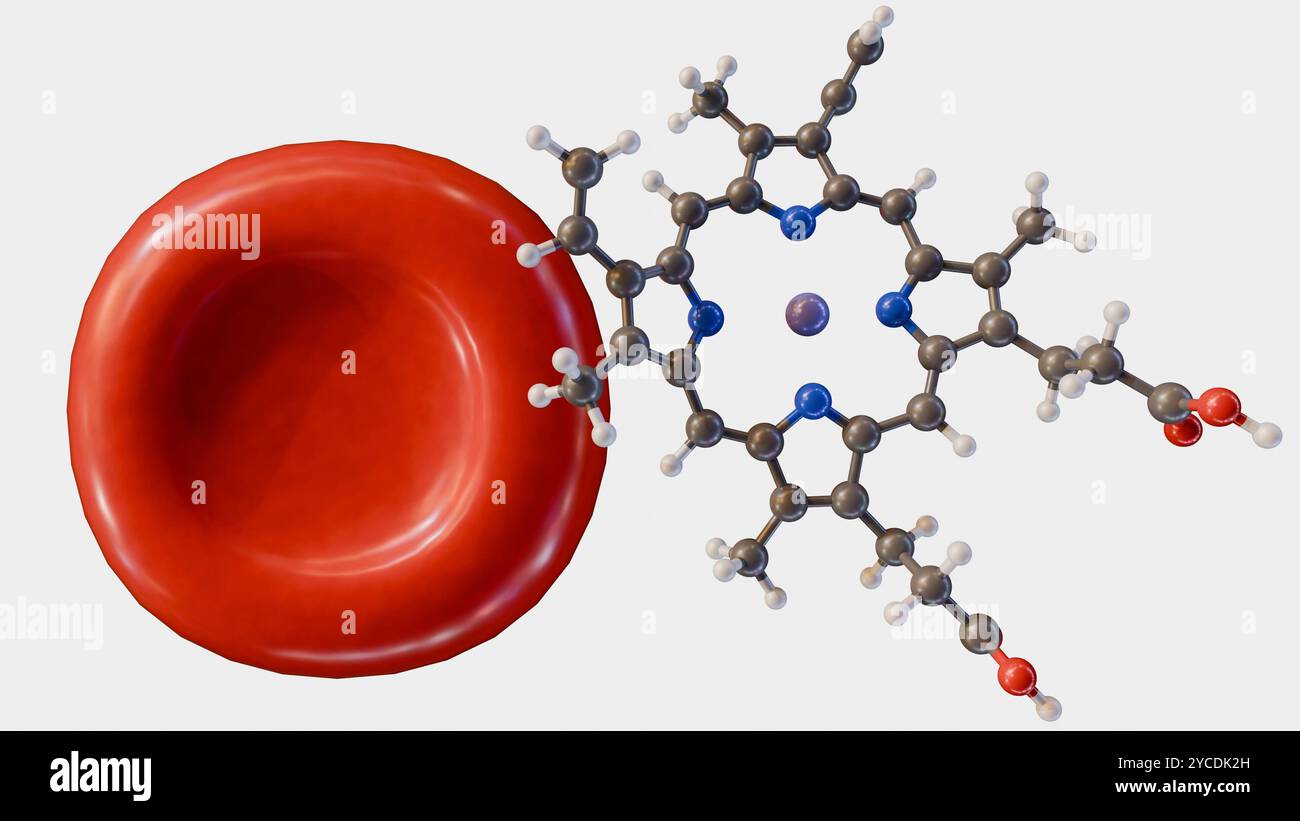 3D-Darstellung von Hämmolekül und Erythrozyten. Häm ist ein Porphyrinring mit einem Eisenatom in der Mitte. Stockfoto