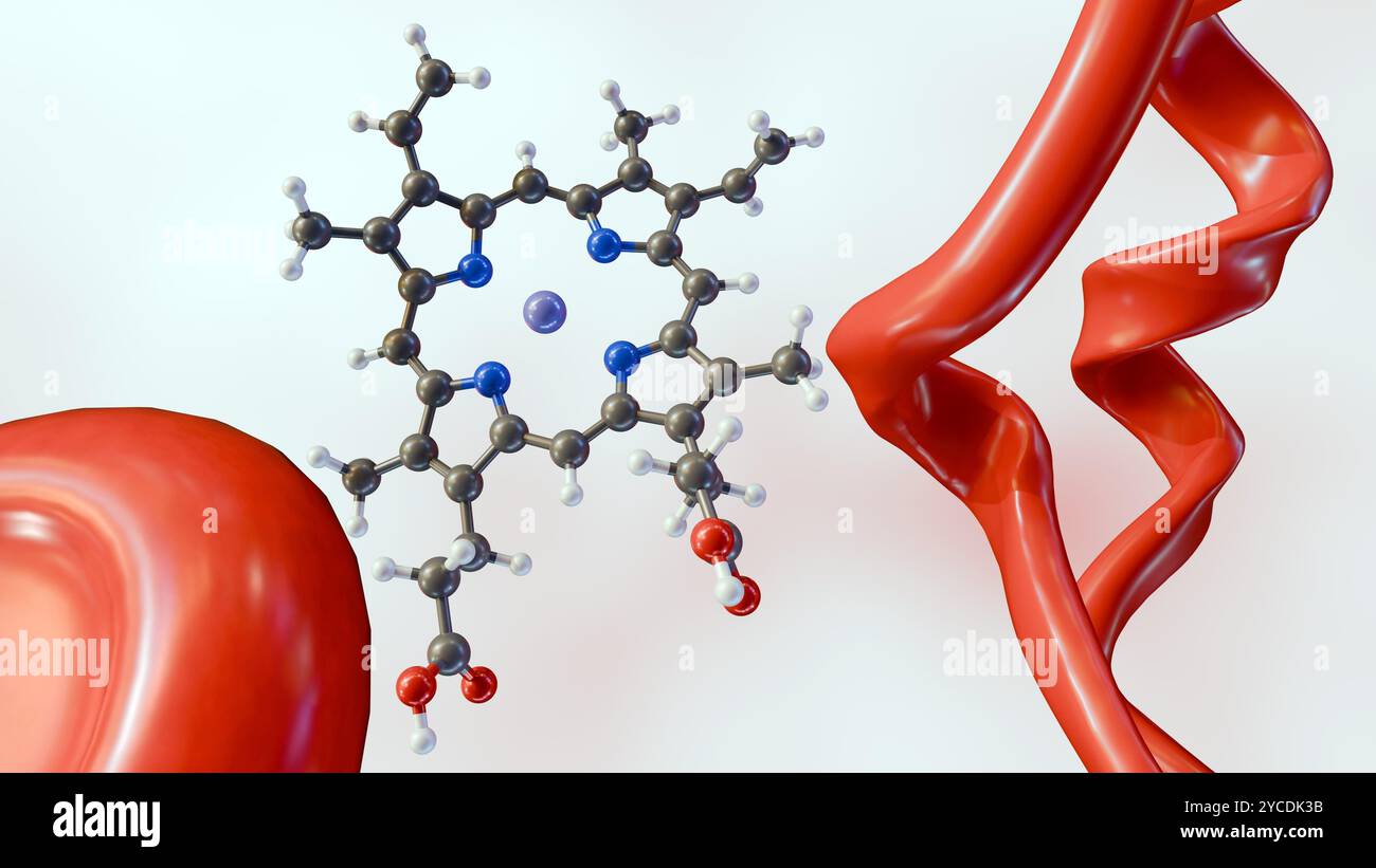 3D-Darstellung von Hämmolekül, Proteinstruktur und roten Blutkörperchen im weißen Hintergrund Stockfoto