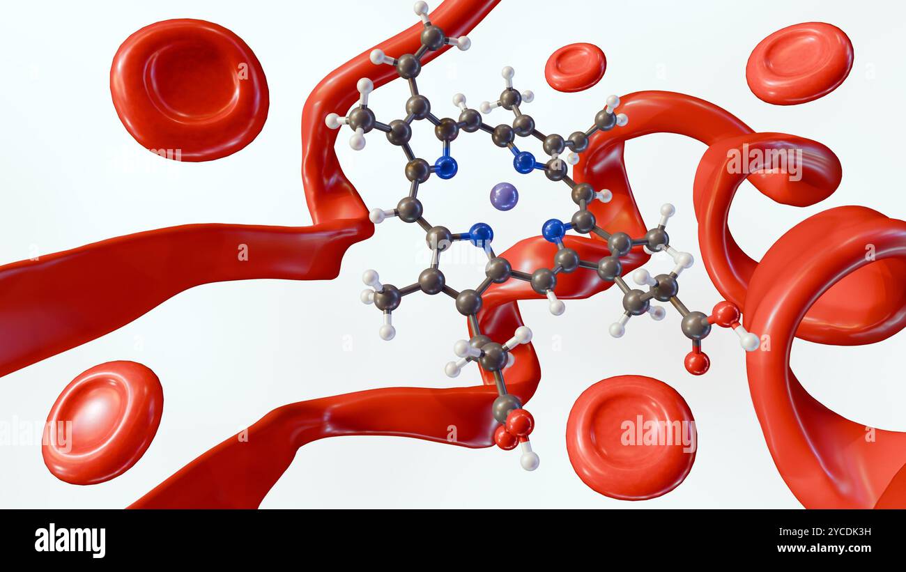 3D-Darstellung von Hämmolekül, Proteinstruktur und roten Blutkörperchen im weißen Hintergrund Stockfoto