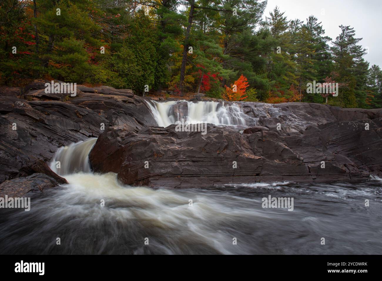 Wilson's Falls in Muskoka, Ontario, Kanada. Stockfoto