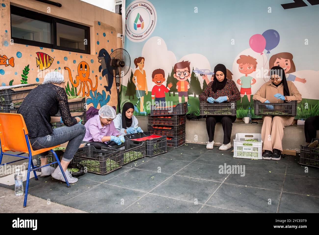 Beirut, Libanon. Oktober 2024. Freiwillig macht Erbsen, um Mahlzeiten für die Vertriebenen im Libanon zu kochen. Mehr als ein Fünftel der Bevölkerung des Landes wurde durch israelische Luftangriffe vertrieben. Israel verübt einen brutalen Angriff auf einen Großteil des Libanon und behauptet, es sei auf Ziele und Infrastruktur mit der Hisbollah verbunden. (Foto: Sally Hayden/SOPA Images/SIPA USA) Credit: SIPA USA/Alamy Live News Stockfoto