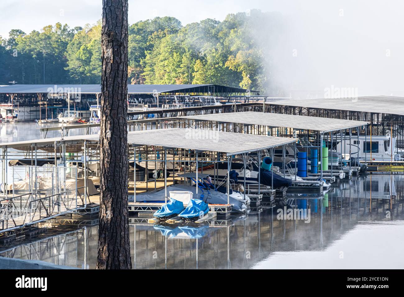 Morgens rollt Nebel in der Park Marina am Lake Allatoona im Red Top Mountain State Park in Cartersville, Georgia. (USA) Stockfoto