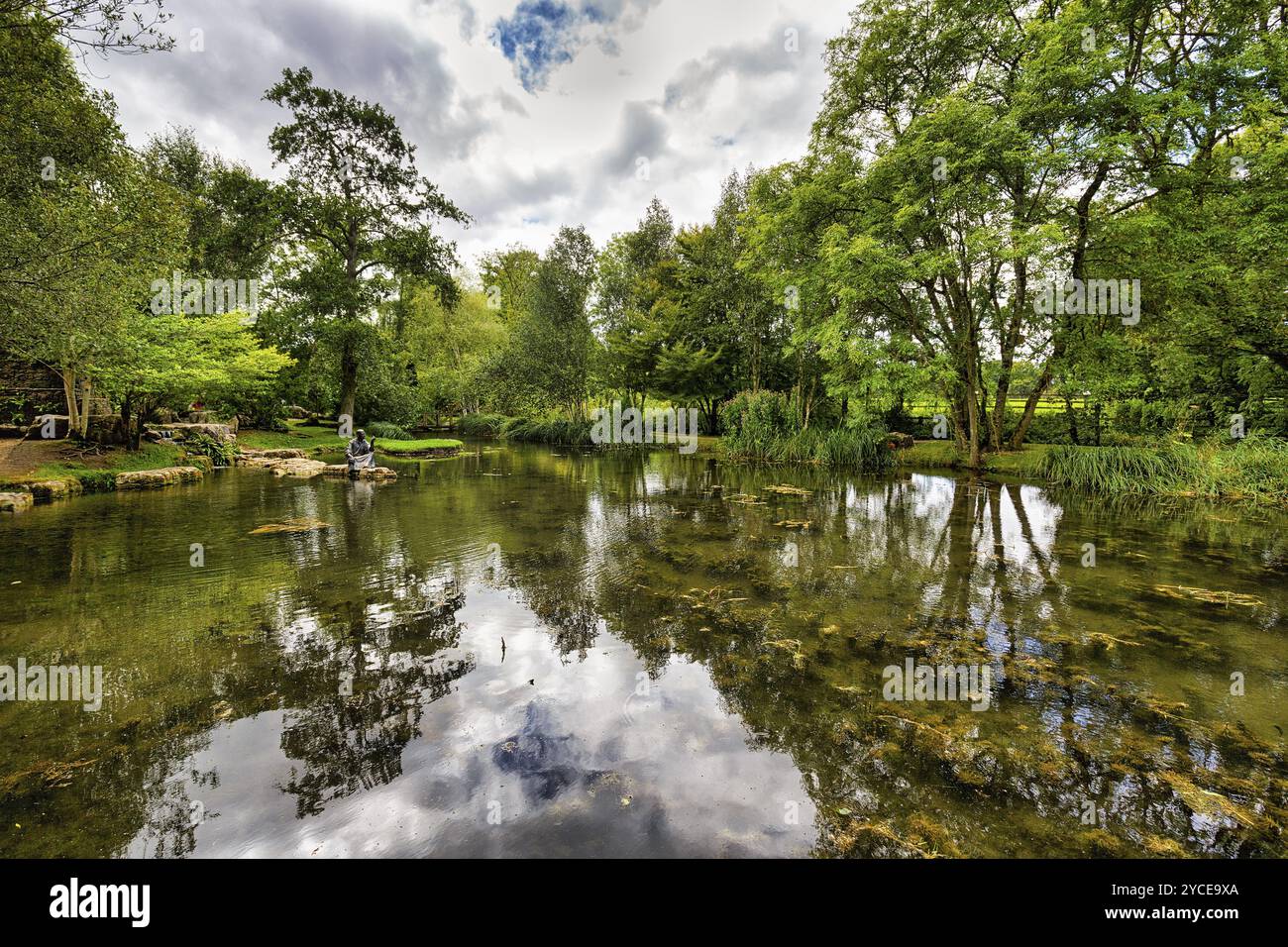 Teich im Garten von St Fiachra, Gärten, Irish National Stud and Gardens, Irish National Stud & Gardens, Tully, Kildare, Irland, Europa Stockfoto