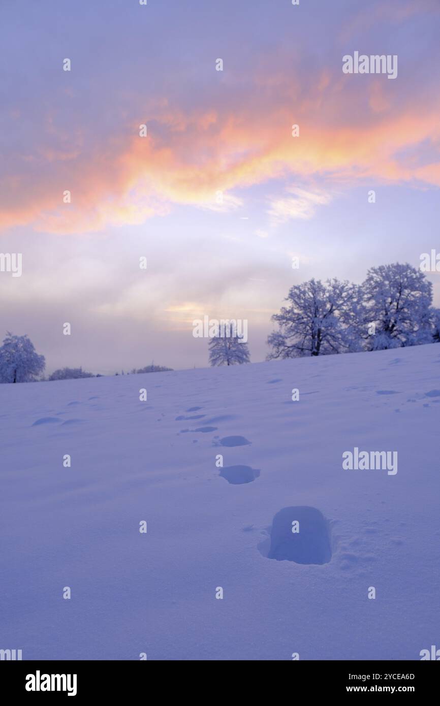 Spuren im Schnee, Sonnenaufgang mit Raureif im Winter, am Schlossberg, Eurasburg, Loisachtal, Oberbayern, Bayern, Deutschland, Europa Stockfoto