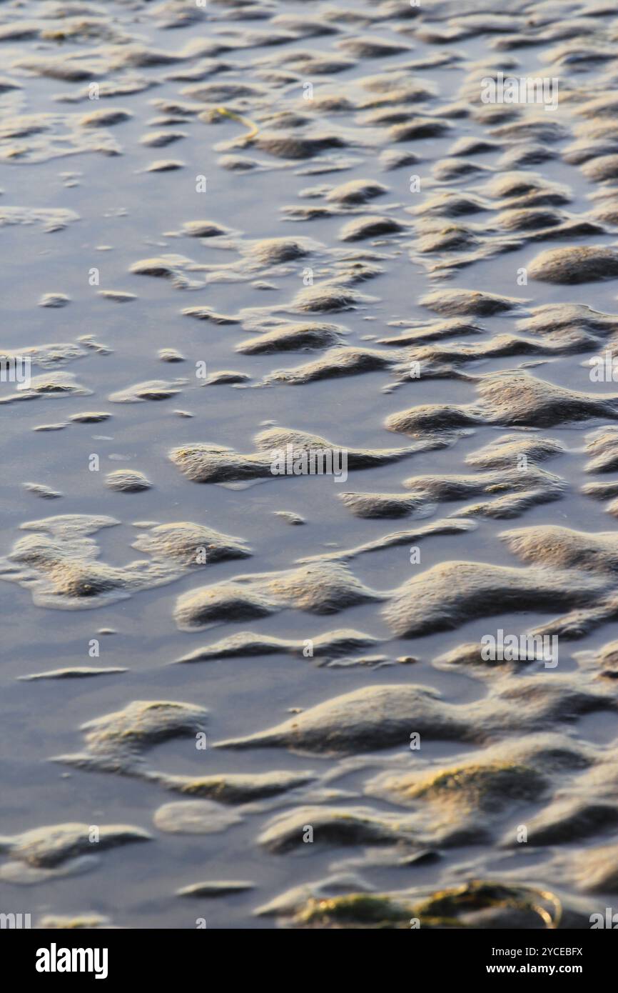 Ostseestrand, Usedom, Mecklenburg-Vorpommern, Deutschland, Europa Stockfoto