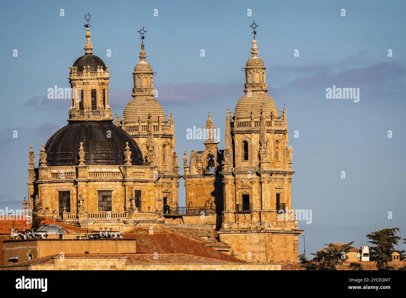Malerischer Blick auf die Kathedrale von Salamanca. Castilla Leon, Spanien. Tele-Fotografie Stockfoto