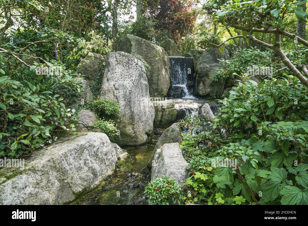 Schöner japanischer Garten in Würzburg mit künstlichem Bach, kleinem Wasserfall und großen Felsen. Verschiedene Bäume und Sträucher Stockfoto