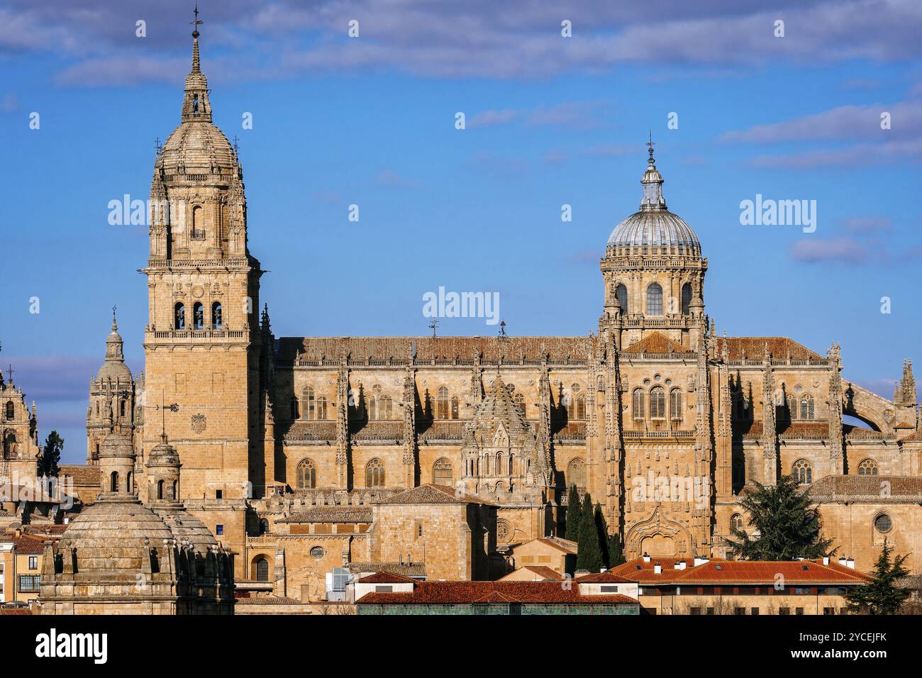 Malerischer Blick auf die Kathedrale von Salamanca. Castilla Leon, Spanien, Europa Stockfoto