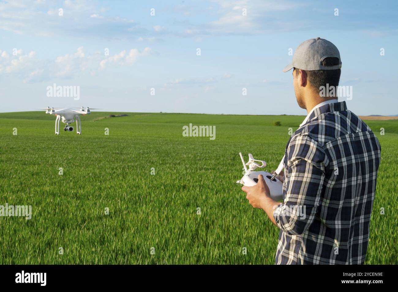 Moderne Technologien in der Landwirtschaft. Ein Bauer, der eine Drohne über ein junges Weizenfeld fliegt. Stockfoto