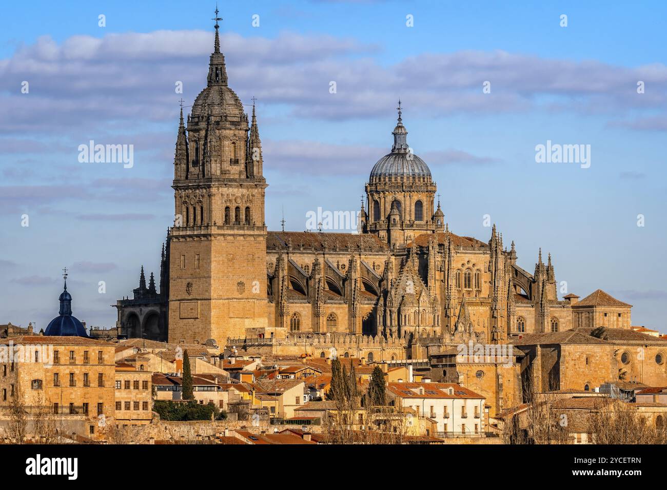 Malerischer Blick auf die Kathedrale von Salamanca. Castilla Leon, Spanien, Europa Stockfoto