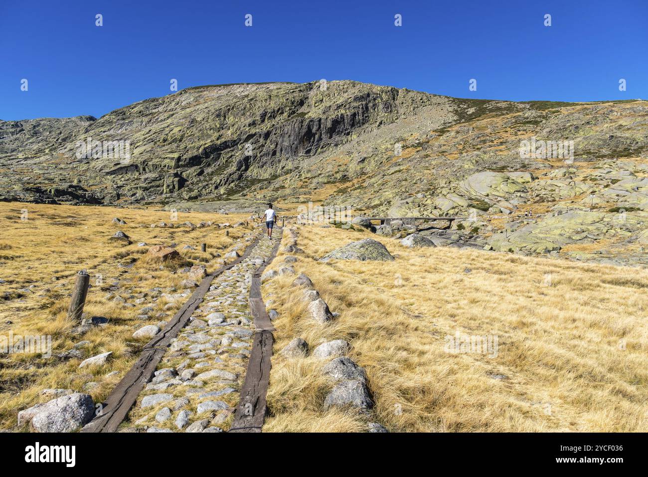 Wunderschöne Felsenlandschaft auf einer Wiese im Gredos Park in Spanien unter blauem Himmel im Herbst Stockfoto