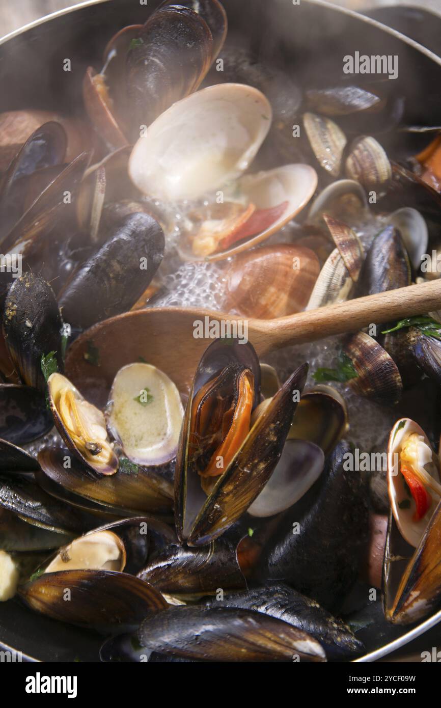 Vorbereitung eine Suppe aus Meeresfrüchten mit Knoblauch und Petersilie Stockfoto