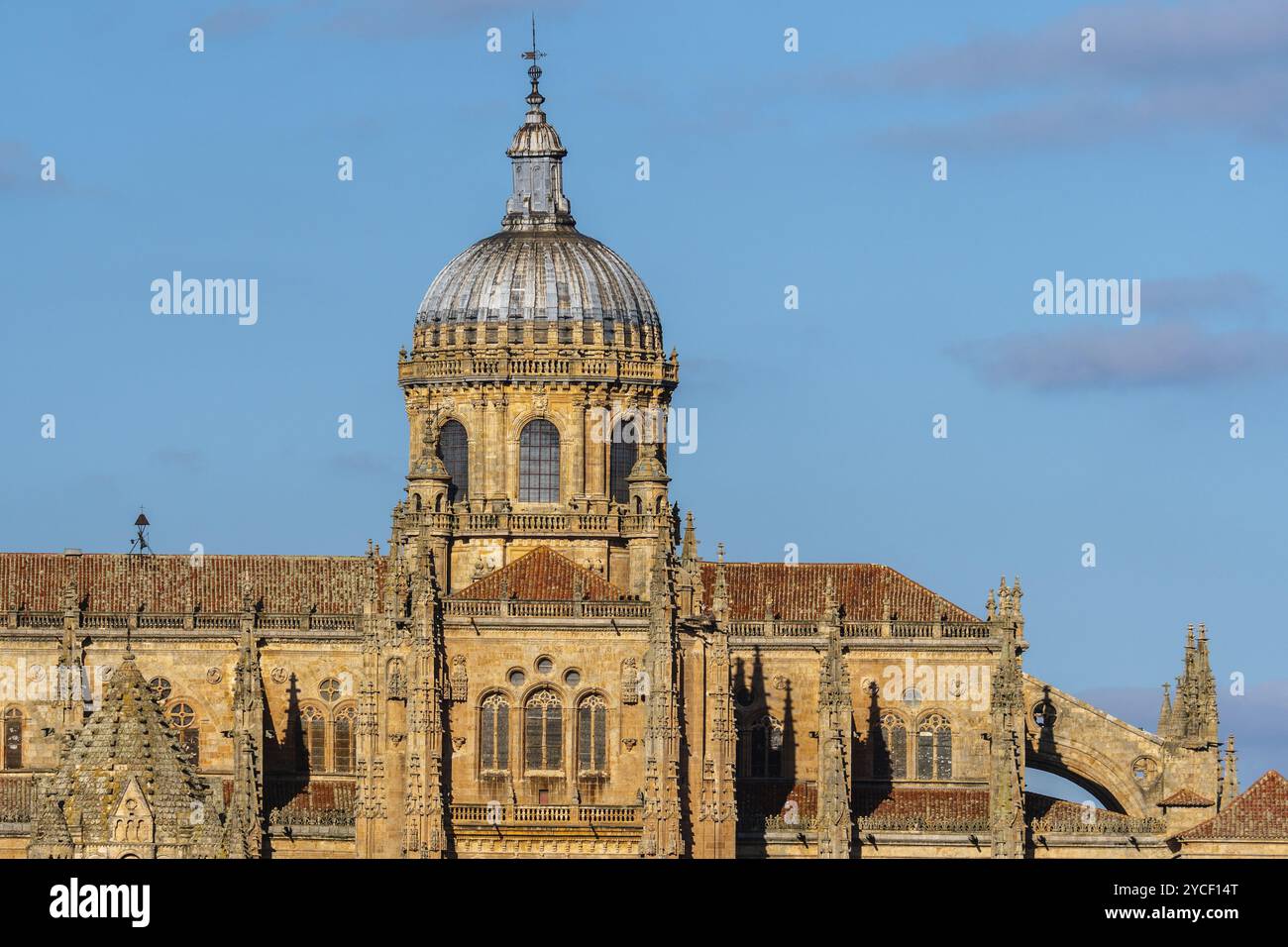 Malerischer Blick auf die Kathedrale von Salamanca. Castilla Leon, Spanien, Europa Stockfoto