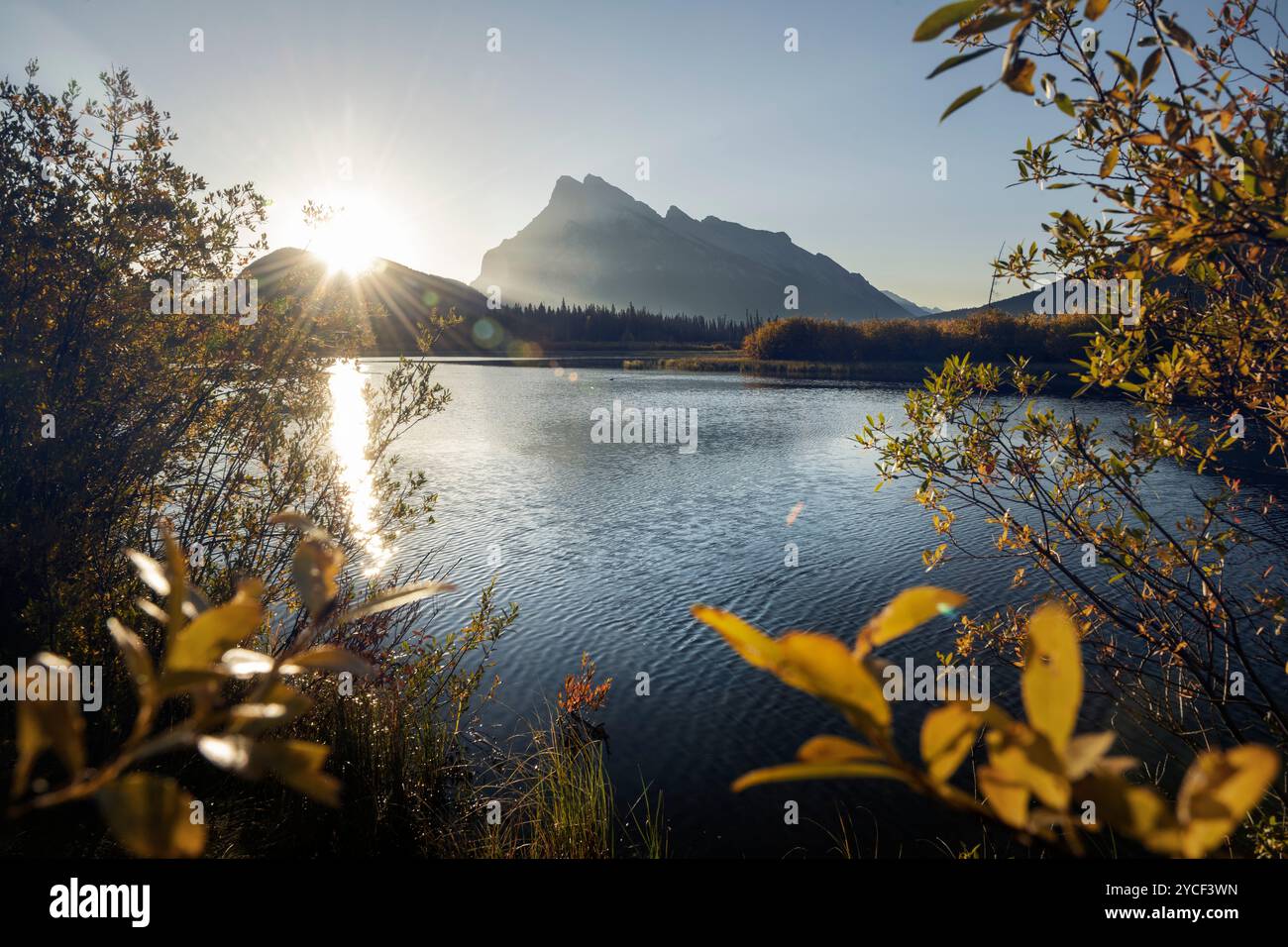 Blick auf Rundle Mountain, Vermillion Lakes, Banff, Alberta, Kanada Stockfoto