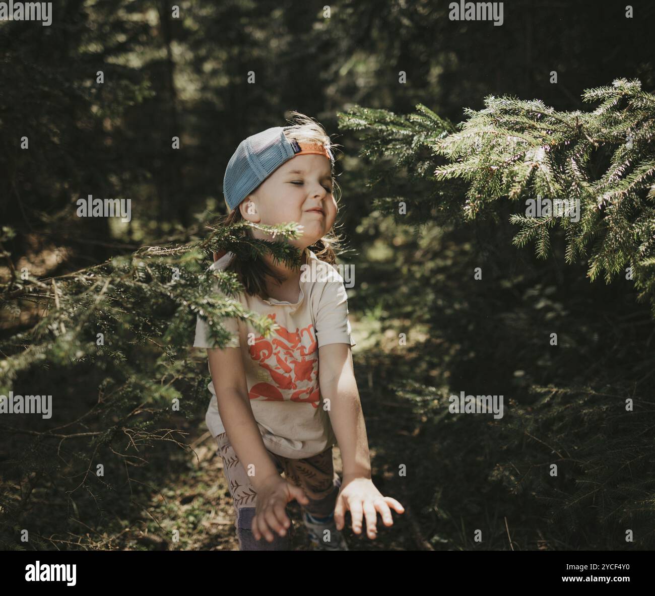 Mädchen im Wald Stockfoto
