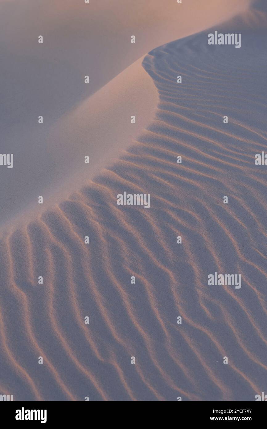 Strukturen durch Wind im Sand, Abendlicht, Insel Amrum, Nationalpark Schleswig-Holsteinisches Wattenmeer, Deutschland, Schleswig-Holstein, Nordseeküste Stockfoto