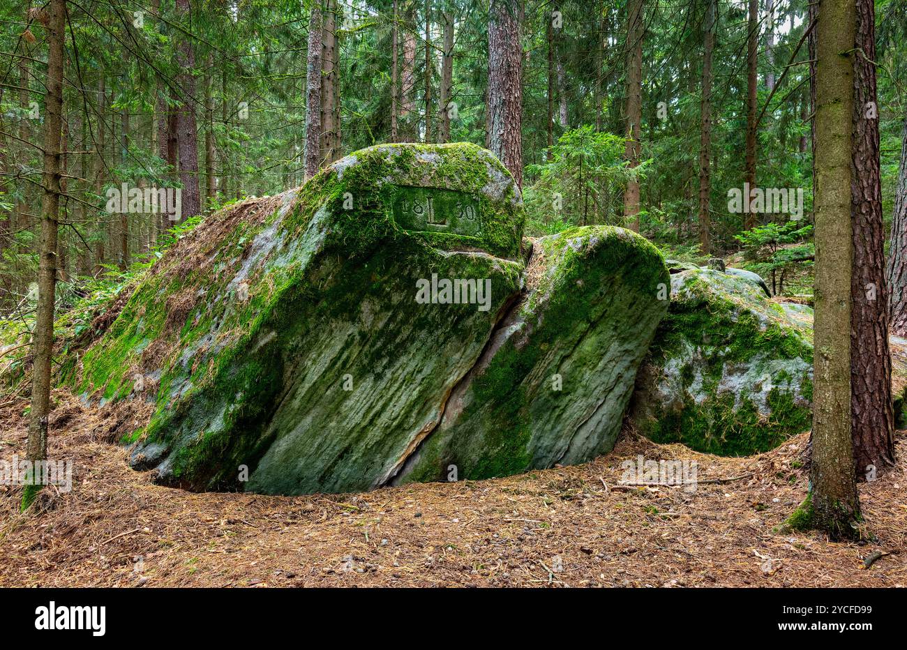 Deutschland, Bayern, Luisenstein am Querkelsteinweg bei Ahorn, südöstlich von Schloss Hohenstein befindet sich der Hohenstein Felsengarten, der gut ausgeschilderte Querkelsteinweg führt zu den einzelnen Felsformationen Stockfoto