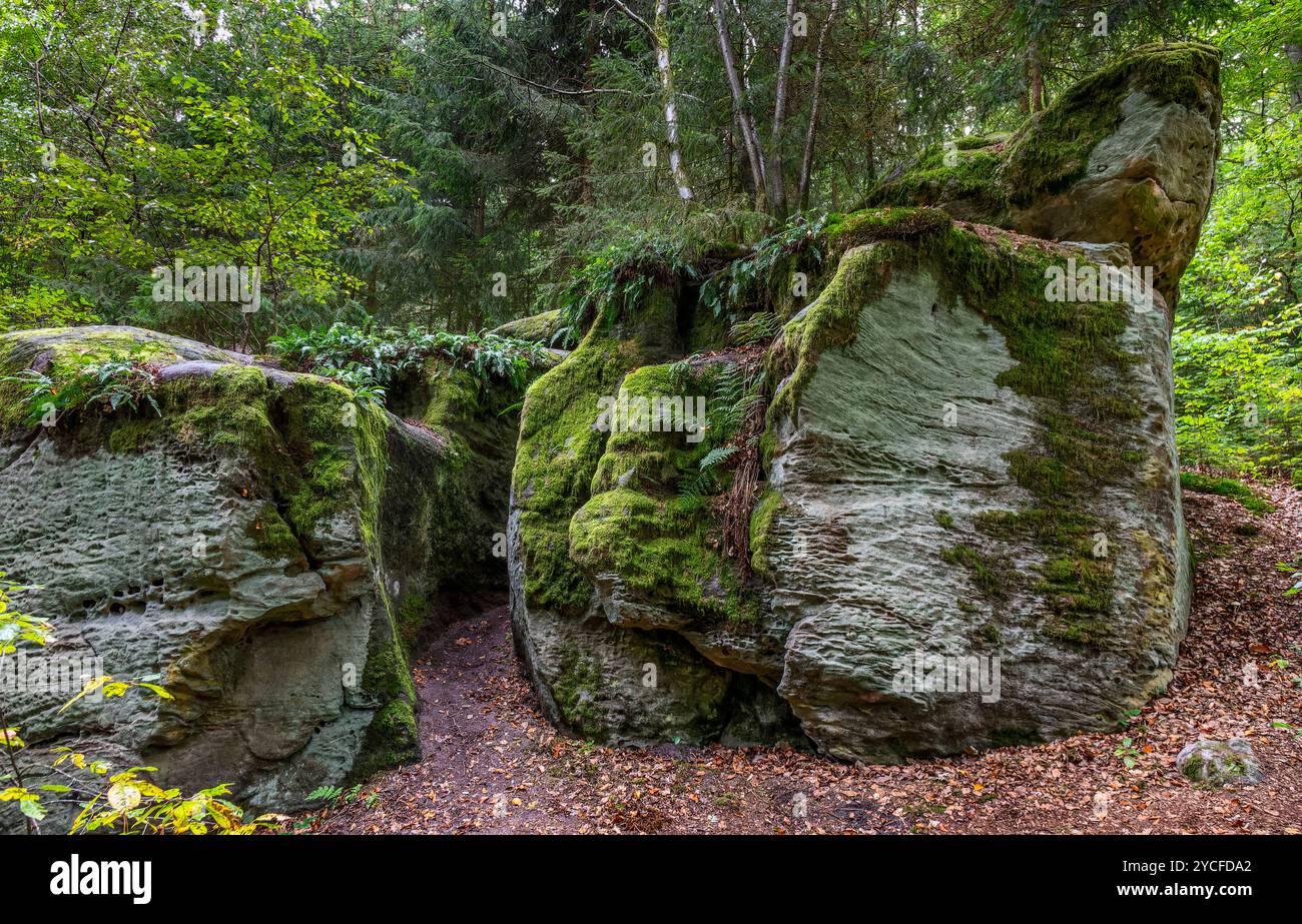 Deutschland, Bayern, Spaltstein am Querkelsteinweg bei Ahorn, südöstlich von Schloss Hohenstein befindet sich der Hohensteiner Steingarten, der gut ausgeschilderte Querkelsteinweg führt zu den einzelnen Felsformationen Stockfoto